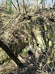 IMG_20210228_112028