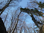 IMG_20210228_113735
