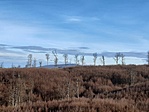 20201223_103446