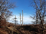 20201223_103953