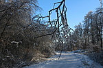 IMG_1882
