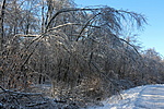 IMG_1883