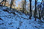 IMG_1908