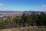 IMG_20210227_132339