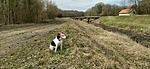 IMG_20210227_121617