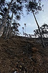 IMG_8065