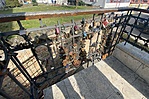 IMG_8235