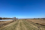 IMG_8161