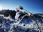 IMG_20210213_091936
