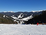 Bukovel síparadicsoma
