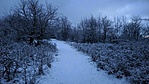 IMG_20210208_172647