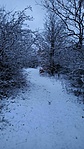 IMG_20210208_172546