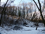 P1220504