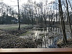 IMG_20210315_162402