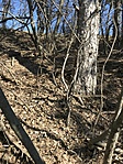 IMG_5003