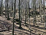 Pénz-lik