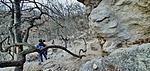 IMG_20210320_113530