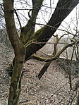 IMG_20210315_135822