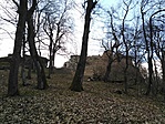 IMG_20210320_125058