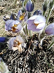 IMG_20210321_105120
