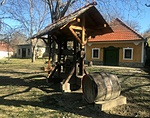 IMG_5783