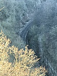 IMG_5939