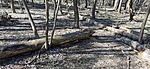 IMG_20210324_130008