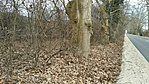 IMG_20210321_151653