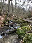 IMG_0267