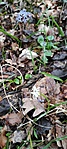 IMG_20210314_162459