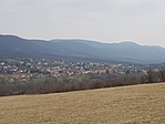 20210325_122850