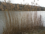 DSCN1831