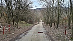 2021-03-14 13.07.58R