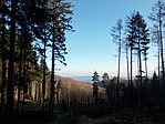 DSCN3646-001