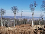 Kilátás