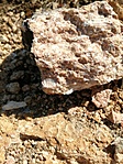 IMG_20210321_112744