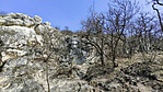 IMG_20210326_122801
