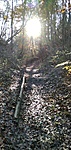 IMG_20201107_130647
