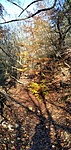 IMG_20201107_130821_1
