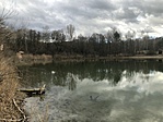 IMG_4802