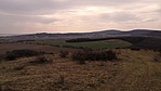 IMG_20210330_150840