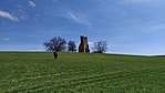 IMG_20210313_105924