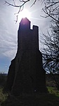 IMG_20210313_110900_1