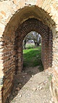 IMG_20210313_111314