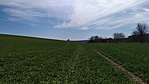 IMG_20210313_112645
