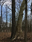 IMG_3338