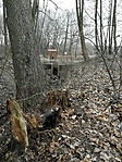 IMG_20210320_140508