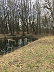 IMG_3344