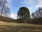 IMG_3348