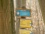 DSCN89362